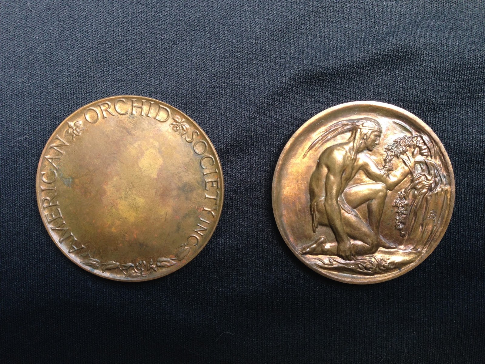 Bronze Hound's Art Collection: American Orchid Society Trophy Plaque