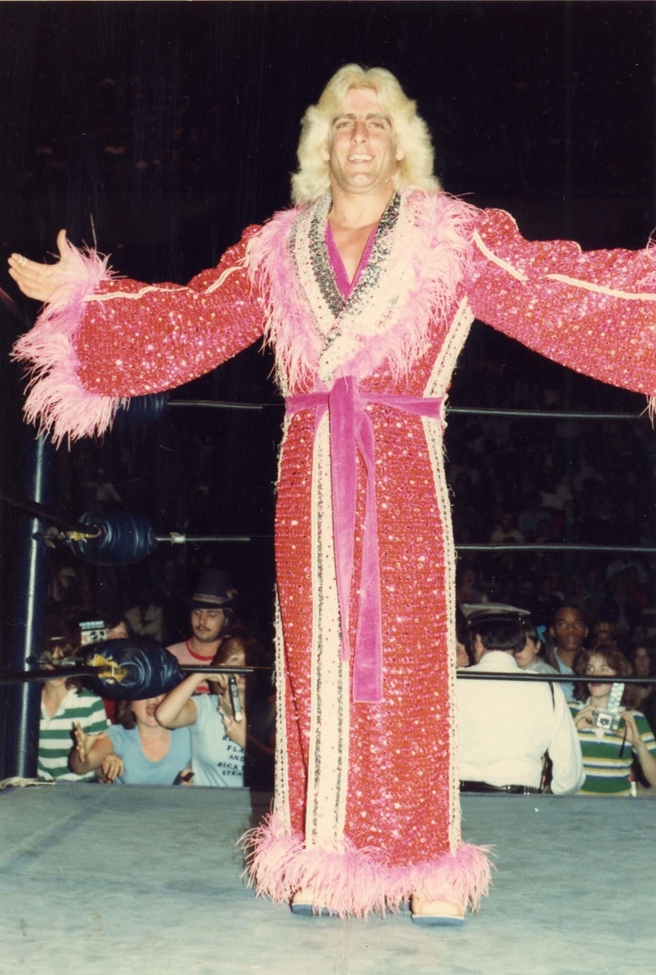 The Wrestling Insomniac The Greatest Robes in Wrestling