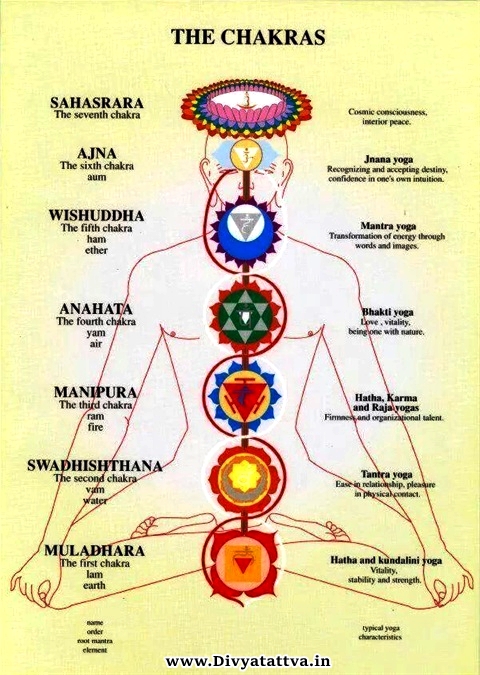 Kriya Yoga Practical Metaphysics And Five Pranas Functions In Macro Cosmos or Micro Cosmos by Divyatttva New Delhi India