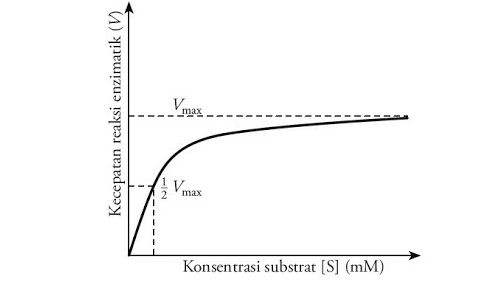 Pembahasan Soal Un Biologi Sma Paket 3 Soal No 23 Tahun 2015 2016 Blog Pak Pandani