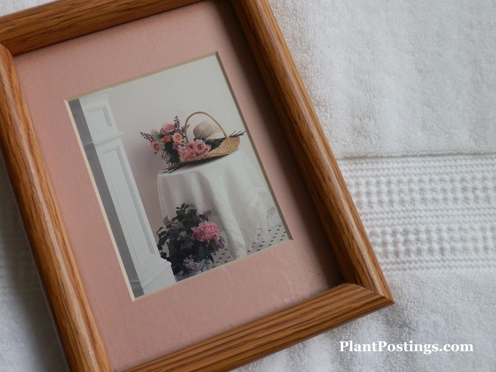 PlantPostings Book review flower talk