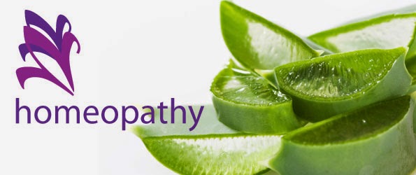  The underlying idea of Homeopathy has been known for at least 2500 years. Around that time, its principles were mentioned by the Greek physician Hippocrates, the "Father of Medicine."  However, Homeopathy has only been in use as a practical method of healing for about the last 200 years. The German Physician and Chemist, Samuel Hahnemann (1755 - 1843), discovered the principles and laws of Homeopathy. He clarified, formulated and developed them into a practice of Homeopathy same to the one we have today. He is rightly regarded as the founder of Homeopathy.  Hahnemann set down the basic philosophy for Homeopathy in a book called The Organon of Medicine. It was first published in 1810, and Hahnemann revised it through six editions before his death. The Organon is still the Bible of homeopaths. During his long life, Hahnemann introduced about 100 remedies, most of which are the core medicines still used today.  Since Hahnemann's time, Homeopathy has certainly developed, and it has also waxed and waned in popularity. But the whole philosophy and practice of Homeopathy springs entirely from the genius of his thoughts and experiments.  Hahnemann's Insight Hahnemann was originally trained as a doctor. But he soon became dissatisfied with the crude, unscientific, painful and downright dangerous medical practices of the time. Much of this centered around blood letting, sometimes in excessive and fatal quantities, and the use of large doses of poisonous drugs, such as mercury. It is no exaggeration to say that the disease was often preferable to the cure.  Eventually Hahnemann gave up medicine for a time. To support his large family, he earned a small income from writing and translations. He was an impressive linguist, fluent in at least five languages.  His Own "Guinea Pig" In 1791, Hahnemann was translating an English article on the use of Peruvian or cinchona bark, also known as quinine. Quinine is a drug that is used in the treatment of the infectious tropical disease, Malaria. Hahnemann became interested in this idea and started to experiment on himself. He consumed small pieces of the bark. Very quickly he developed a number of symptoms, including heart palpitations, drowsiness, alternating fever and chills, and drenching sweats. Each attack of symptoms lasted two or three hours and reappeared at regular intervals.  Hahnemann had produced in himself all the symptoms of malaria, but without actually experiencing the disease itself. As soon as he stopped taking the bark, the symptoms disappeared. He had discovered a remedy, which we now call China, and had developed the Law of Similars. From this, he reasoned that something in the bark could produce a symptom pattern that mimicked Malaria -- and the same mysterious something could treat the actual disease of Malaria.  Testing The Substances -- The "Provings" Hahnemann now set about testing all sorts of substances, which he thought might contain curative powers. He experimented on himself and on his friends and colleagues, methodically recording the results for over 100 substances, which were then used to make remedies. This process of testing a substance on a healthy person to bring out the symptoms is called "proving."  Since Hahnemann's original 100 provings, at least 2000 more have been scientifically carried out.  Summaries of the symptoms produced by these substances have been listed, collected, compiled and set out in books known as Materia Medica. There have been various versions of Materia Medica prepared by a number of authors through the years. A Materia Medica and a Repertory -- which is really a detailed index to the Materia Medica -- are the two essential books that a practising Homeopath always has by his or her side.  Preparation Of Medicines Although Hahnemann had discovered the basic law of Homeopathy, that "Similia similibus curentur" (like cures like), there was still a problem. Many of the substances he wanted to use as remedies were very poisonous. Even in minute doses, there could still be risks and dangers. To avoid this, Hahnemann started to dilute the substances many times. Being a well-trained scientist, and an expert in pharmacy, he took great care in keeping the remedies pure and uncontaminated, as he made them into greater and greater dilutions. In fact, he diluted the remedies so many times that it seemed they could not possibly work. The dilutions were so weak that virtually nothing of the original substance remained!  Between each dilution, Hahnemann devised a method of vigorous shaking of the solution. This had a powerful effect and "energized" the remedy, releasing huge reserves of curative energy from the original mother substance. The vigorous shaking process is known as succussion. The combination of alternate dilution and succussion at each stage of the remedy preparation is called potentization.  The Shorthand On The Pill Bottle Homeopathic remedies are usually available as pills in bottles. The bottle bears a label with the remedy name, a number and a letter, for example, Arnica 6C. The number refers to the number of successive dilutions that have been carried out. The letter refers to the proportion or quantity of the dilution. For example, C stands for 100, which means that for each stage of the dilution and succession process, one part of the previous dilution was added to 99 parts of water (or alcohol). Sometimes you see X, which means a dilution of one in 10, or M, which is 1,000C.  The combination of number and letter indicates the potency -- the "power" of the preparation.  For Arnica 6C, one part of the original Arnica plant was first diluted in 100 parts of alcohol, and succussed. This process was repeated five more times. In the final dilution, there is only one part in 1,000,000,000,000 (one million million) of the original Arnica.  History Although the origin of Homeopathy can be traced back to the time of Hippocrates, it was first organized by Dr. Samuel Hahnemann. Hahnemann believed that the medical practices of his day, which included severe bloodletting, were barbaric, outmoded, and made for poor patient compliance. He coined the term allopathy for this practice of medicine from the Greek word "allo" meaning "other than" and "pathy" meaning "disease". He described these medical practices as the suppression of symptoms.  For more than 10 years, Hahnemann researched the profiles of a large number of plants. He recorded the findings and named this process a proving, a test of the effects of a substance on a healthy person. Hahnemann wrote the first Homeopathic Material Medica (a book that lists substances and the symptoms produced by their ingestion) and published it in 1810.  When someone became ill, Hahnemann conducted physical exams and questioned the person thoroughly about their general health, outlook on life, and symptoms they were experiencing. Hahnemann then attempted to match the patient's symptoms to the "provings" and administer a dilution of the matched compound. And he found curing diseases with medicines which are capable of producing similar symptoms.  The curative agent is given in an appropriate dilution to effect the safest cure without aggravating or intensifying the pre-existing symptoms. Hahnemann knew that giving even small doses of toxic material could have negative effects, so he developed a unique system of dilution. By this method, he found that he could take advantage of the curative properties of an agent without causing any side effects.  Homeopathy Medicines Nature is the fountain of Homeopathic medicines. The Homeopathic medicines are prepared from a wide range of natura l sources. Over 75% of the medicines origin from the vegetable kingdom, i.e. flowers, roots, leaves and the juice.  Certain chemicals and minerals are also used to prepare some medicines. For instance, sulphuric acid, nitric acid etc. Most of the minerals and metals are used as a source of medicine, such as gold, silver, zinc, tin, iron etc.  Some microbes, bacteria and virus are also used to prepare a special group of medicines (called Nosodes). For instance, influenza virus, bacteria which produce tuberculosis, Somebody secretion such as the hormones ( thyroid hormone, for instance) also find place in the wide source.  Animal kingdom has a special place in the Homeopathic pharmacy. Homeopathic medicines are prepared from the animal sources. Some insects such as Spanish fly (Apis Mellifica) and certain animal products like the venom of Cobra (Naja) are used in unique manner.  As you can realize, there is infinitesimal original drug substance in the higher potency medicines. Actually it crosses the Avogadro's limit. There is no detectable material in the potency higher than 24. What is left behind is the power or energy of the medicine. One may call it dynamic power, which is capable to induce definite changes in the body system to bring about the healing process.  It has been the day to day experience of thousands of Homeopaths world-over, for last 200 years that Homeopathy medicine, even in the smallest form, works!     Whom to contact for Best Homeopathy Treatment  Dr.Senthil Kumar Treats many cases with Homeopathy medicines, In his medical professional experience with successful results. Many patients get relief after taking treatment from Dr.Senthil Kumar.  Dr.Senthil Kumar visits Chennai at Vivekanantha Homeopathy Clinic, Velachery, Chennai 42. To get appointment please call 9786901830, +91 94430 54168 or mail to consult.ur.dr@gmail.com,    For more details & Consultation Feel free to contact us. Vivekanantha Clinic Consultation Champers at Chennai:- 9786901830  Panruti:- 9443054168  Pondicherry:- 9865212055 (Camp) Mail : consult.ur.dr@gmail.com, homoeokumar@gmail.com   For appointment please Call us or Mail Us  For appointment: SMS your Name -Age – Mobile Number - Problem in Single word - date and day - Place of appointment (Eg: Rajini - 99xxxxxxx0 – Psoriasis – 21st Oct, Sunday - Chennai ), You will receive Appointment details through SMS