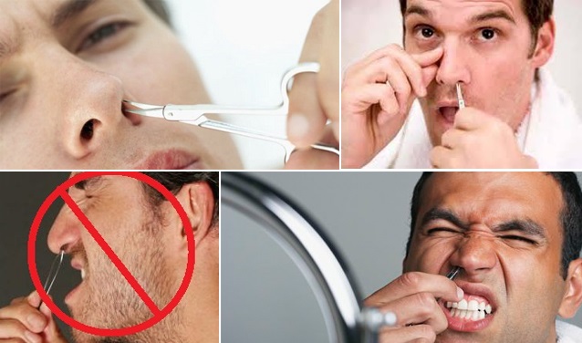 Tips Alami Memancungkan Hidung Tips Alami Memancungkan Hidung