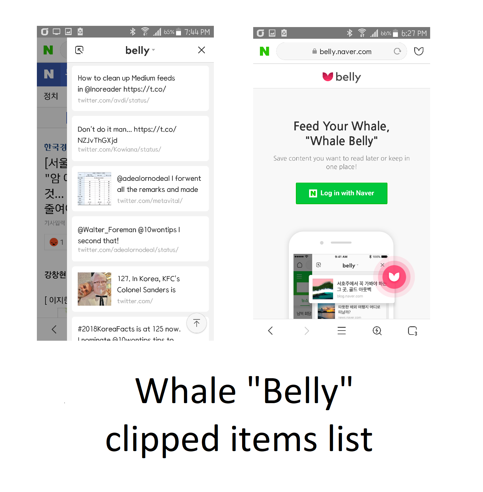 Whale Browser 3.21.192.18 download the last version for iphone