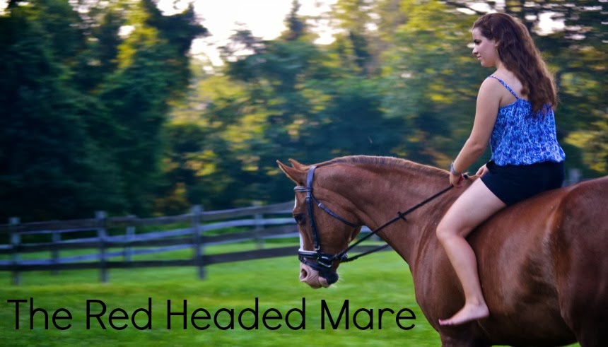 The Red Headed Mare