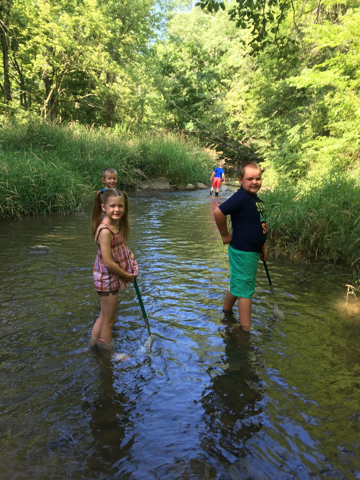 DCP Summer Camps a Hit