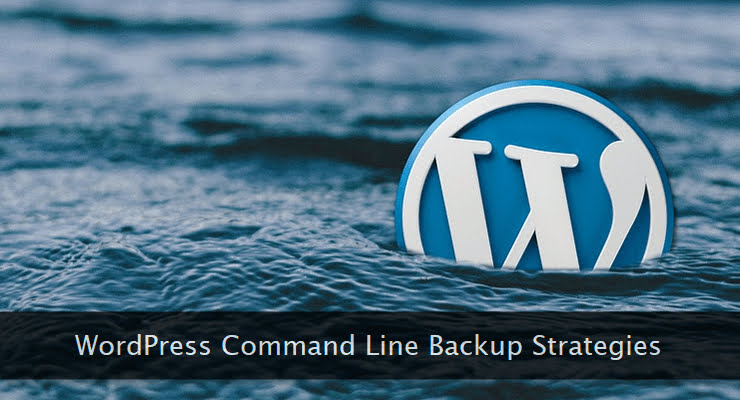 WordPress logo drowning in water.