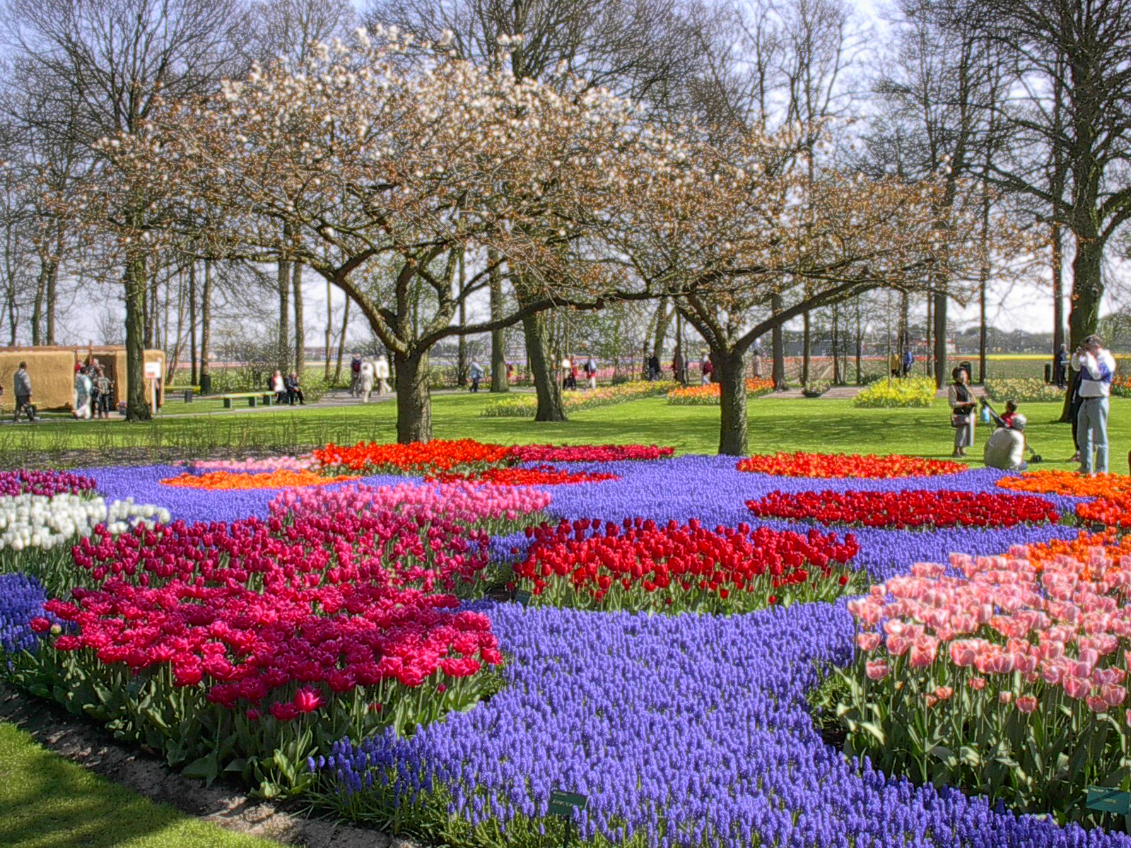 Buch Handling Saturday Snapshot Remembering Spring at Keukenhof