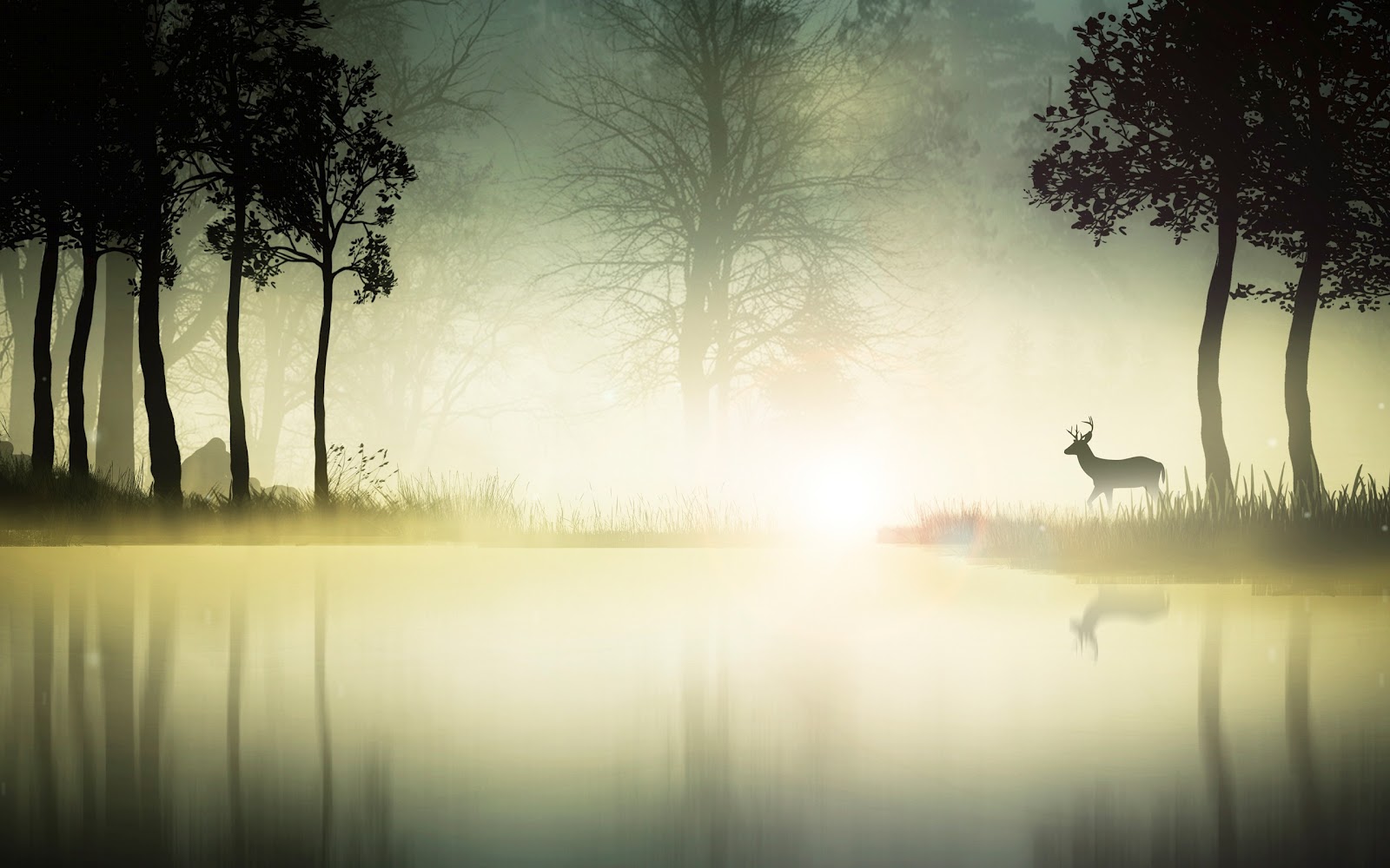 Hd Random Random HD Wallpapers - HD Wallpapers | Rooteto