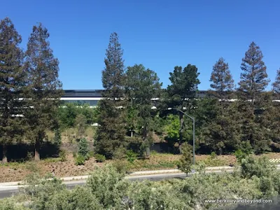 Apple Park campus seen from Apple Park Visitor Center in Cupertino, California