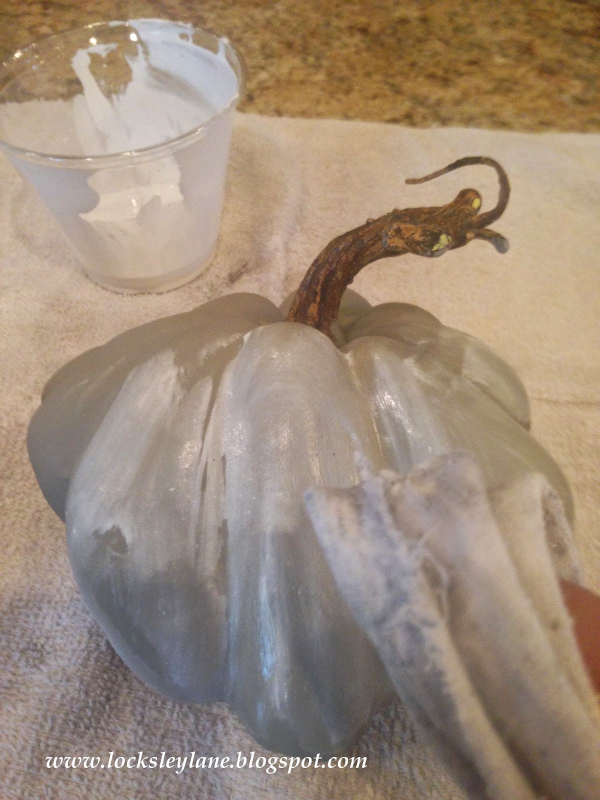 Locksley Lane White Washed Pumpkins