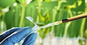 Ilmu-Ilmu yang Digunakan dalam Bioteknologi - simpleNEWS05