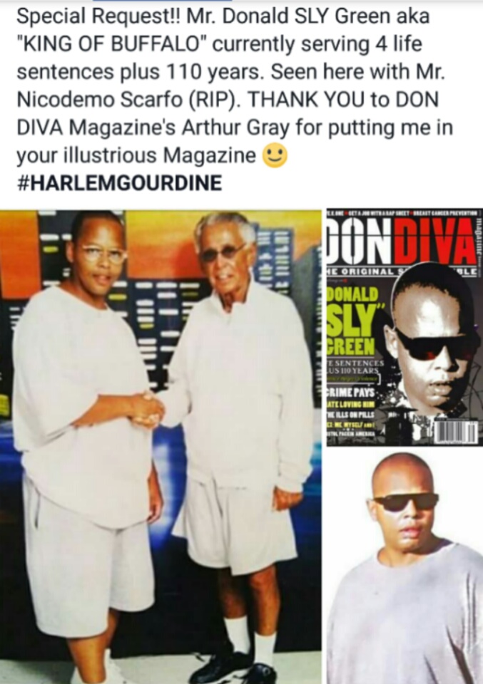 author-michael-mickman-michael-gourdine-king-of-buffalo-donald-sly-green