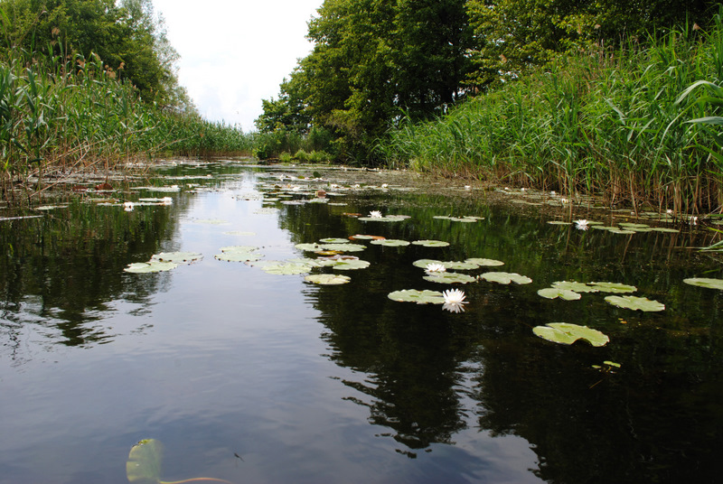 Река ворсклица