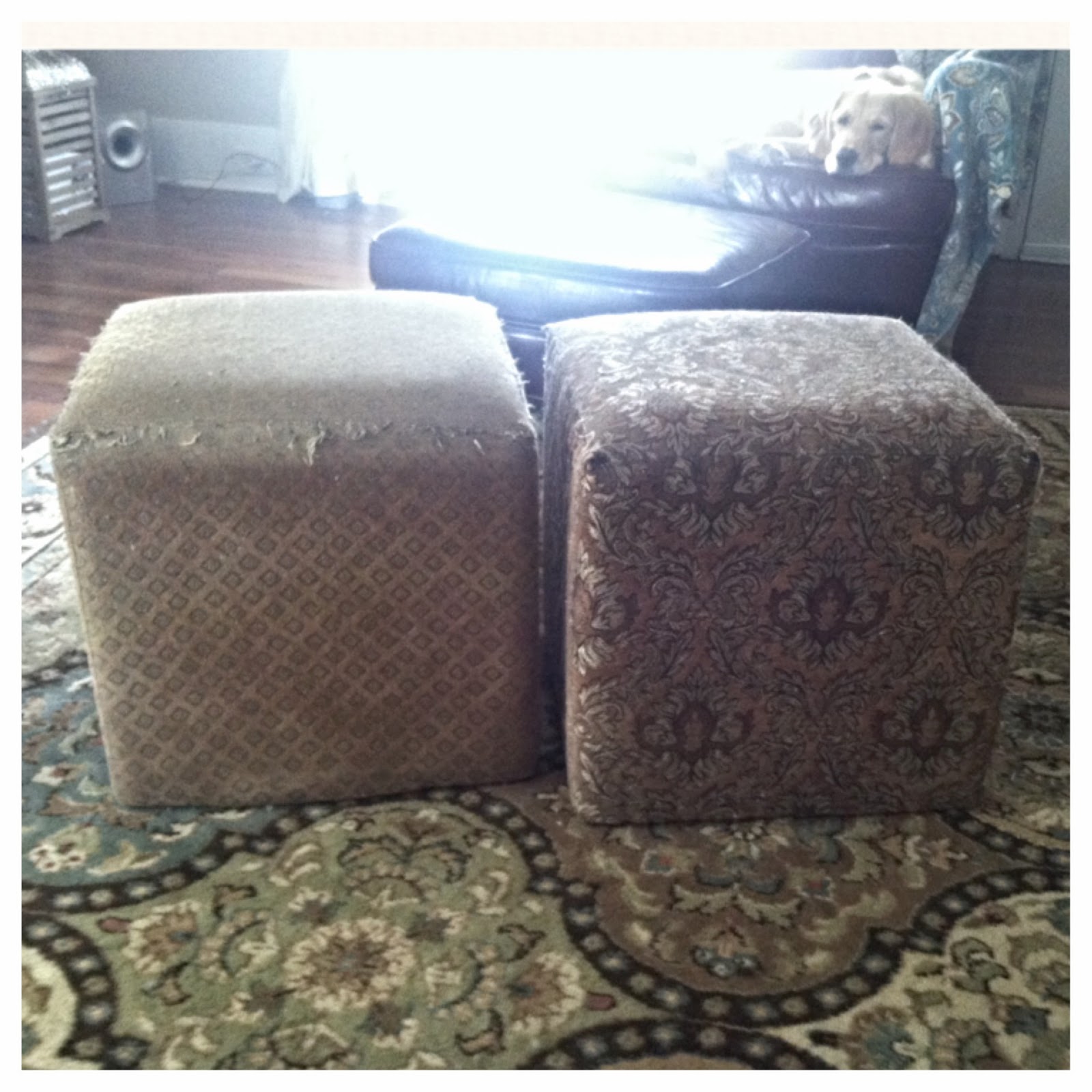 Hailee Tay Hand Sewn Ruffled Slipcover for a Cube (Ottoman)