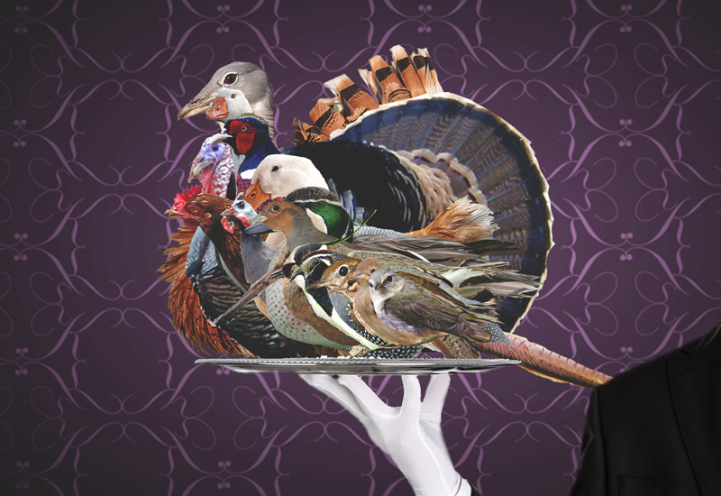 The Rôti Sans Pareil Is 17 Birds Stuffed Inside Each Other