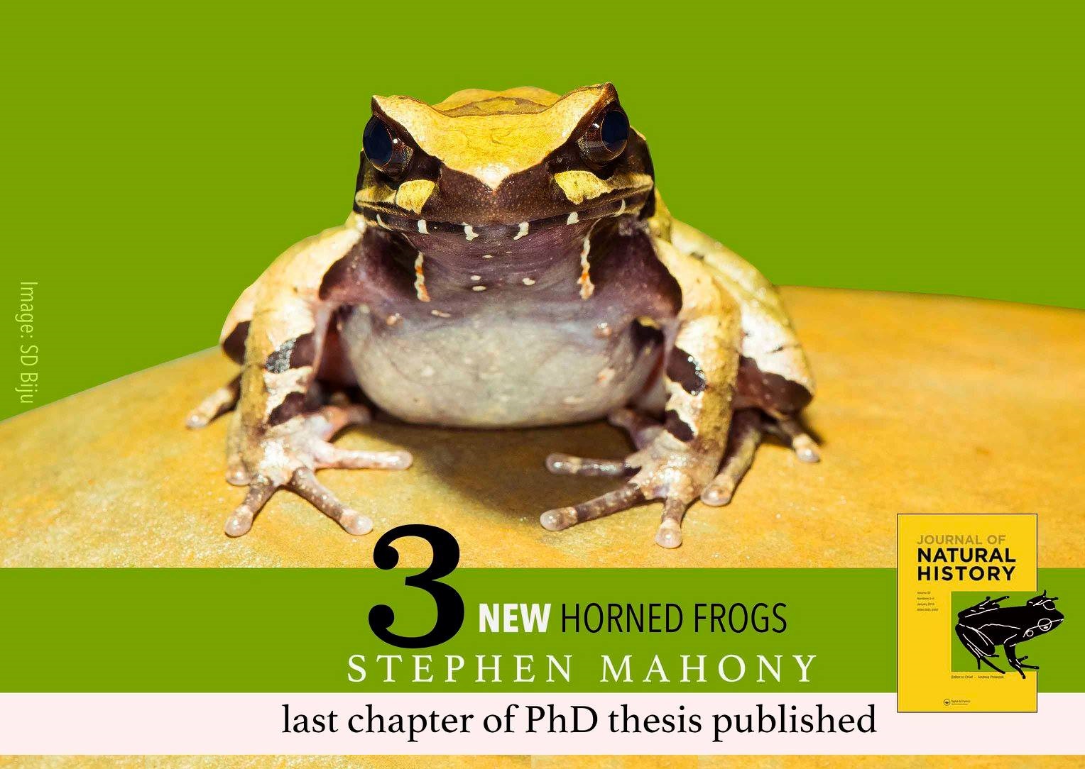 Species New to Science [Herpetology • 2020] Megophrys awuh, M. dzukou