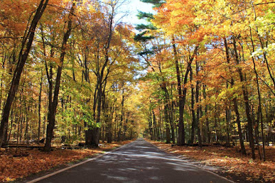 The Best Places to View Fall Colors in Michigan