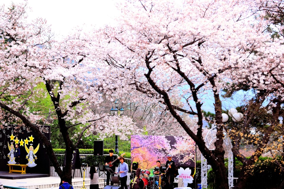 Korea тумблер estetic. корейские традиционные танцы. алхимия душ dorama. соллаль в корее. душа южная корея.