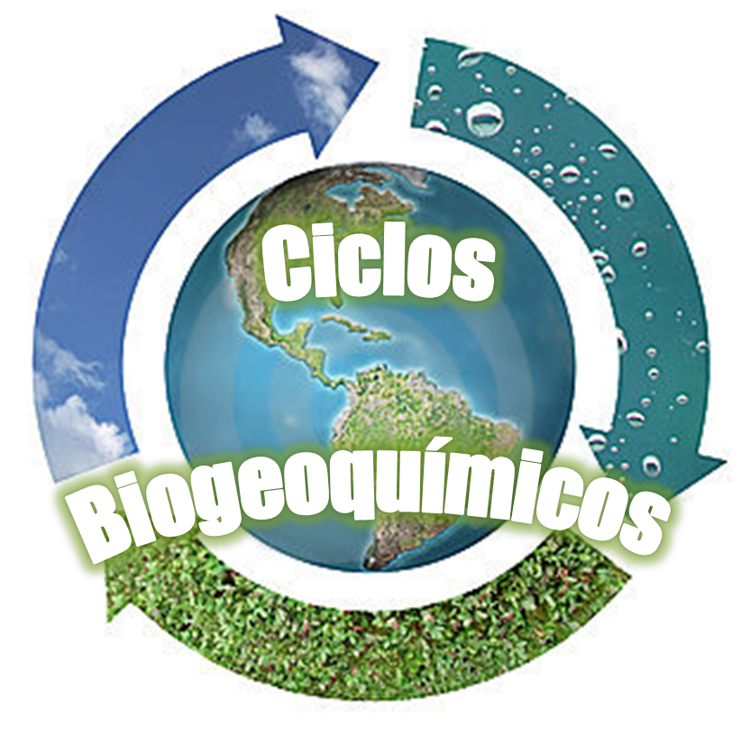 Desarrollo Sustentable:  Ciclos Biogeoquímicos