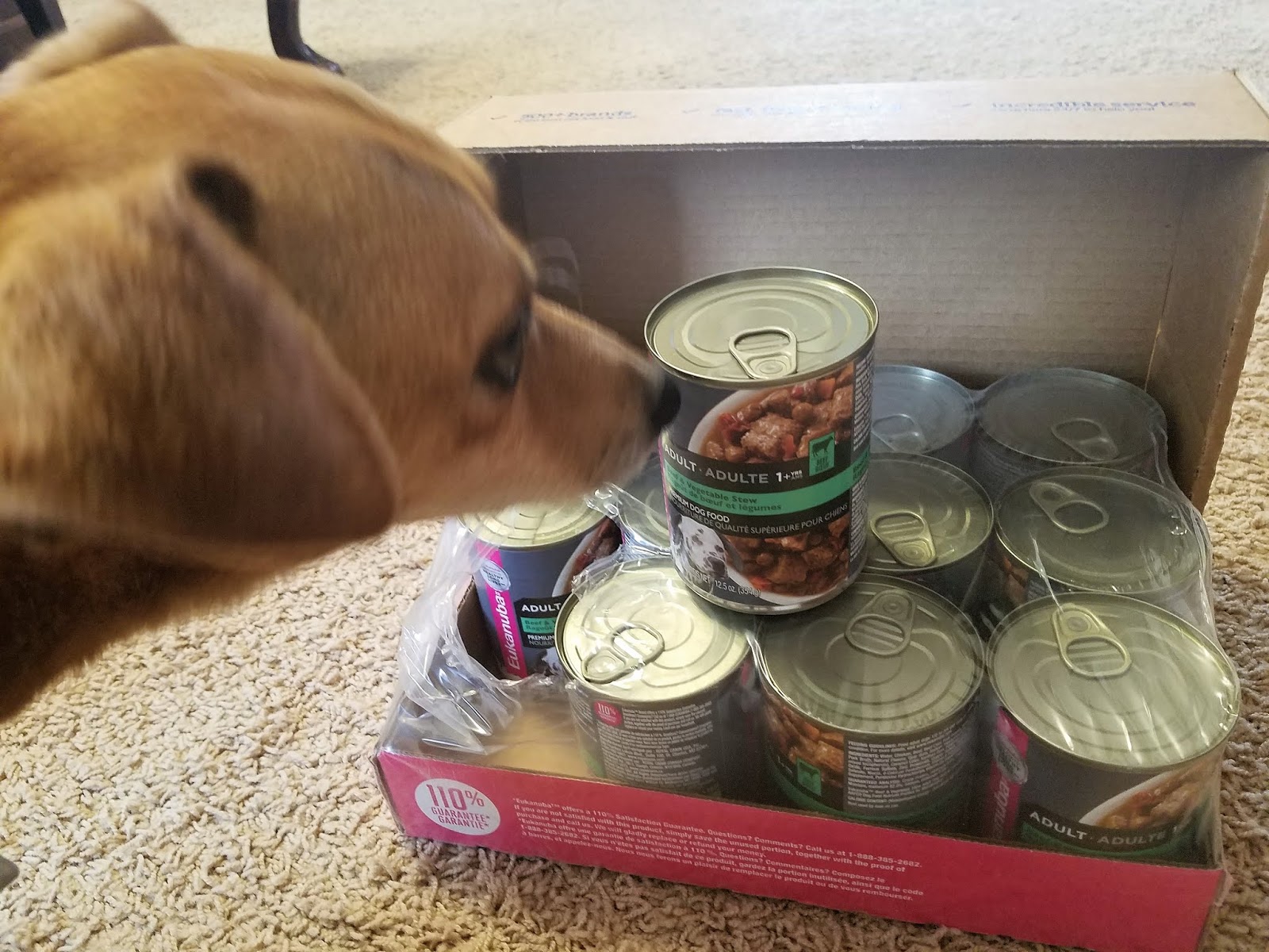 Frugal Shopping and More Eukanuba Adult Beef & Vegetable Stew Canned