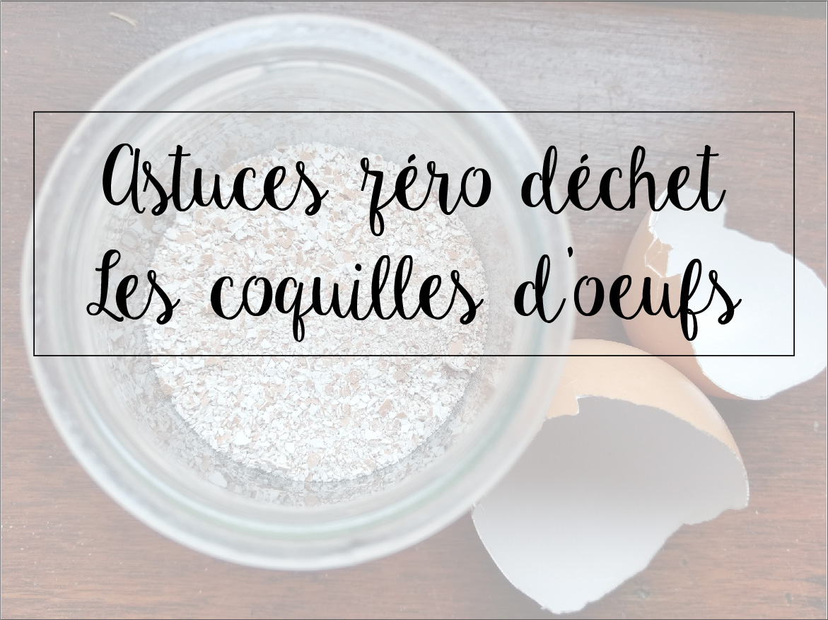 Œuf en poudre : c'est quoi et pourquoi l'utiliser ?