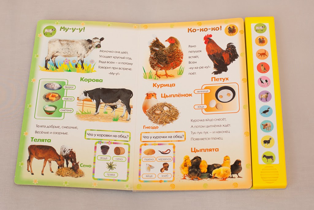 Картинки из книги про все на свете. Как сделать говорящую книгу. Как сделать говорящую книгу. Иллюстрации к книге большие и маленькие. Электронная книга vs бумажная книга.