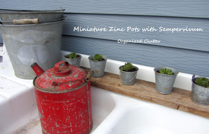Zinc Pails/Pots & Barn Wood Planter Tutorial www.organizedclutterqueen.blogspot.com