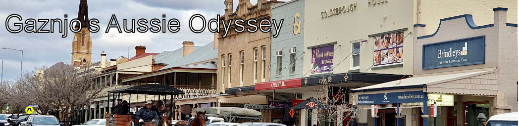 Gaznjo's Aussie Odyssey