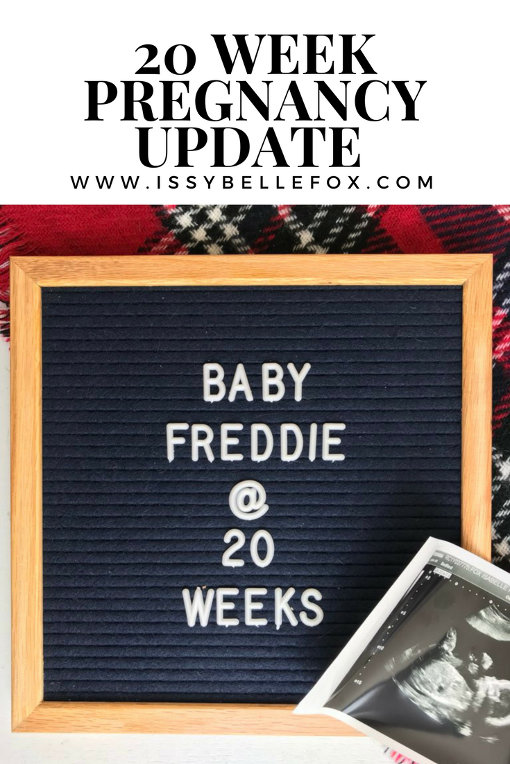 20 Week Pregnancy Update 