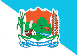 bandeira municipal de Timbaúba dos Batistas-RN