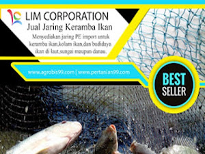 Distributor Jaring Keramba, Hub. 0877 0282 1277 