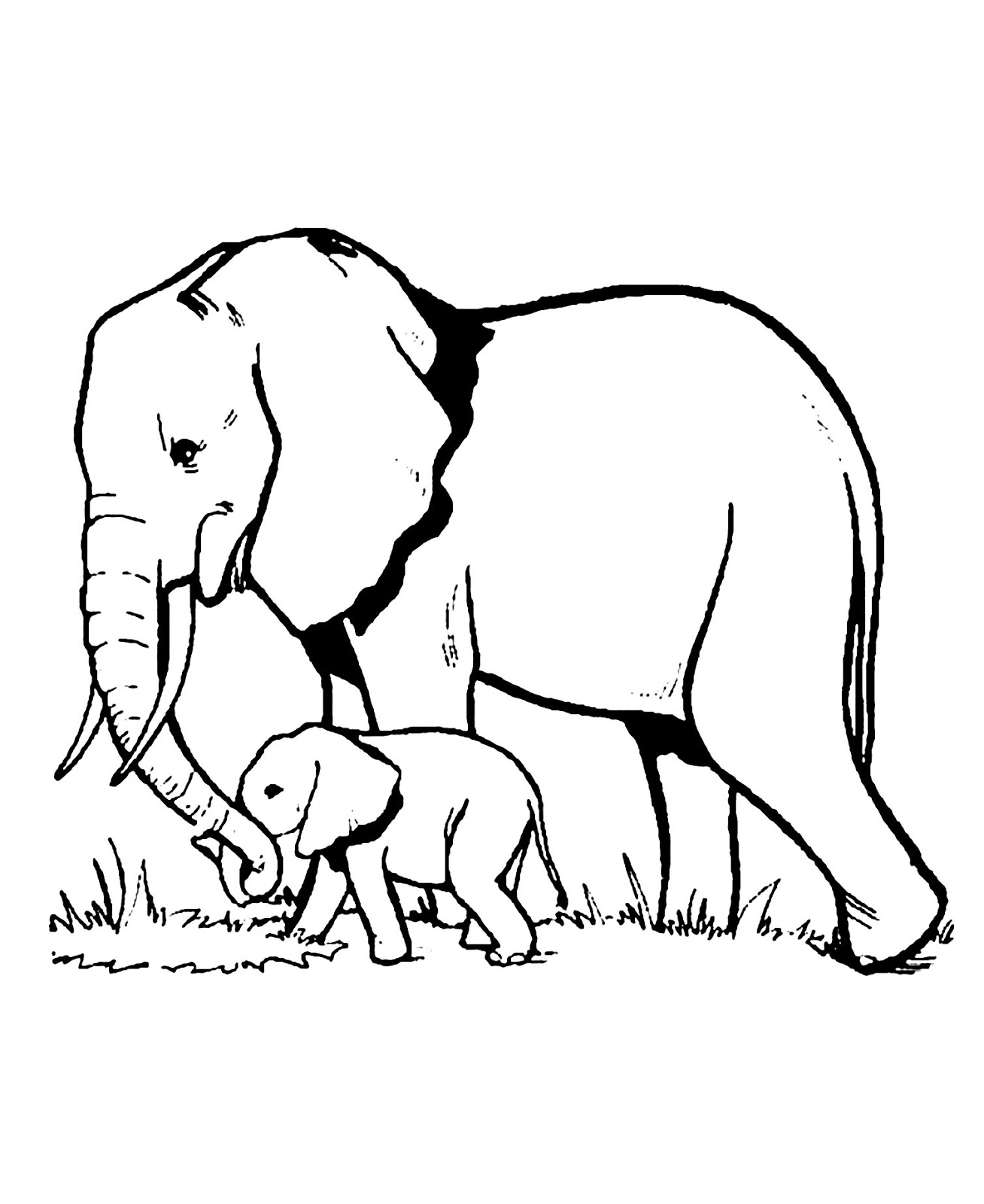 Tranh tô màu hai mẹ con chú voi đi dạo