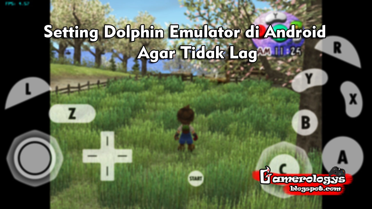 reduce lag dolphin emulator netplay