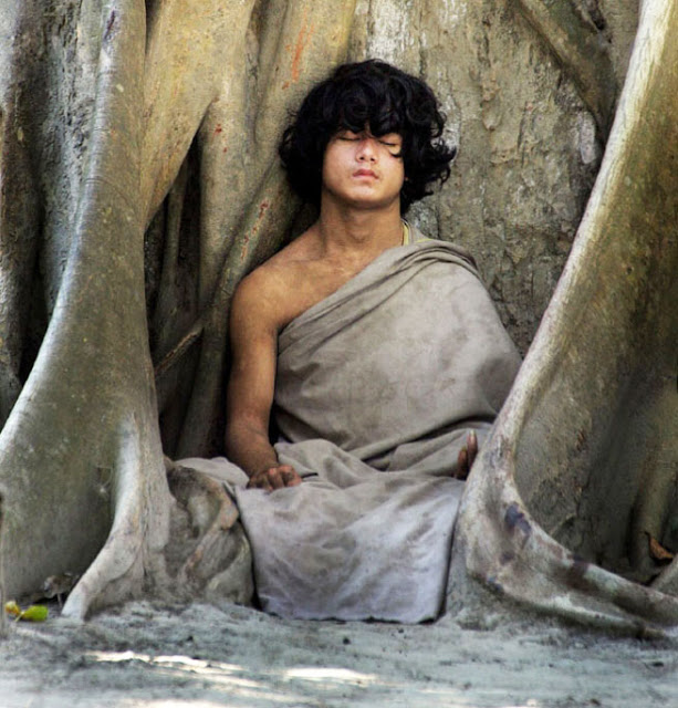 Wisdom Quarterly American Buddhist Journal Buddha Boy delivers a