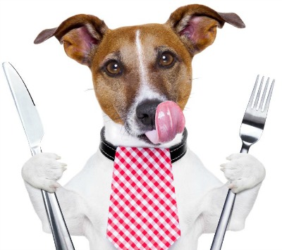 Alimentacao Natural Tempero Para Caes