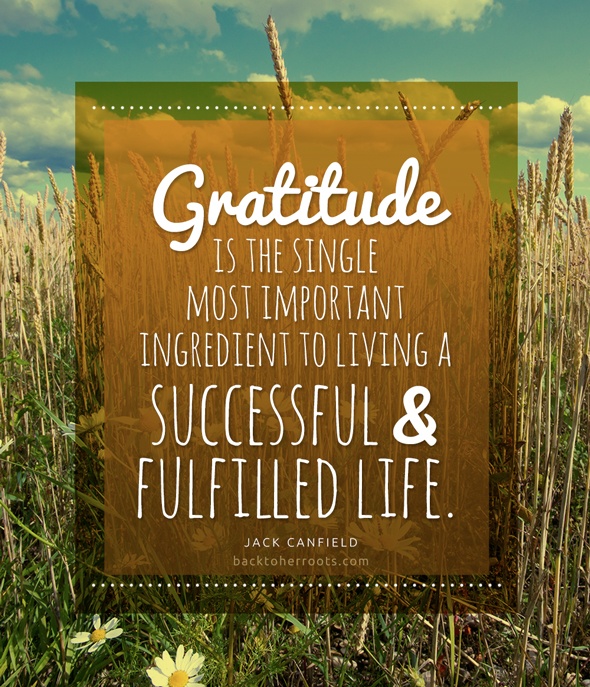 Inspirational Picture Quotes...: Gratitude is the single most important