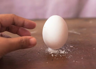 membuat telur berdiri