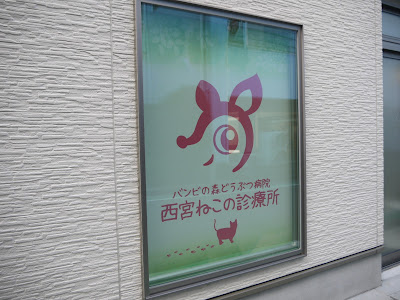 西宮 芦屋 神戸 阪神間で居抜き物件掲載数１位を目指します Jr西宮の太陽土地建物株式会社の安田 中田です 西宮 ｊｒ西宮駅 バンビの森どうぶつ病院 西宮ねこの診療所 様 ご開院おめでとうございます