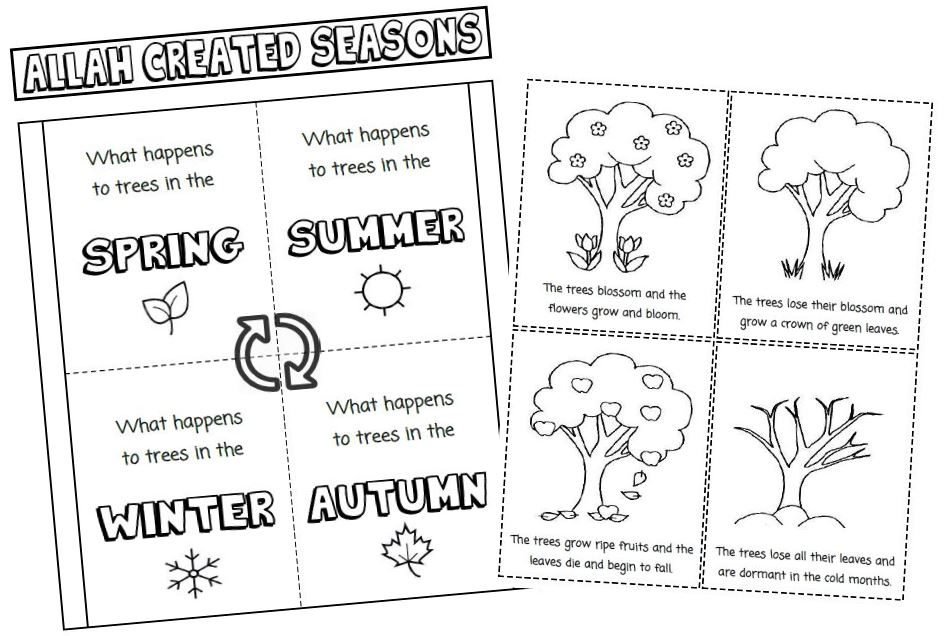 Iman's Home-School: Seasons & Weather Interactive Notebook Pages