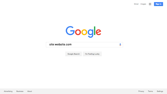 google Site Search