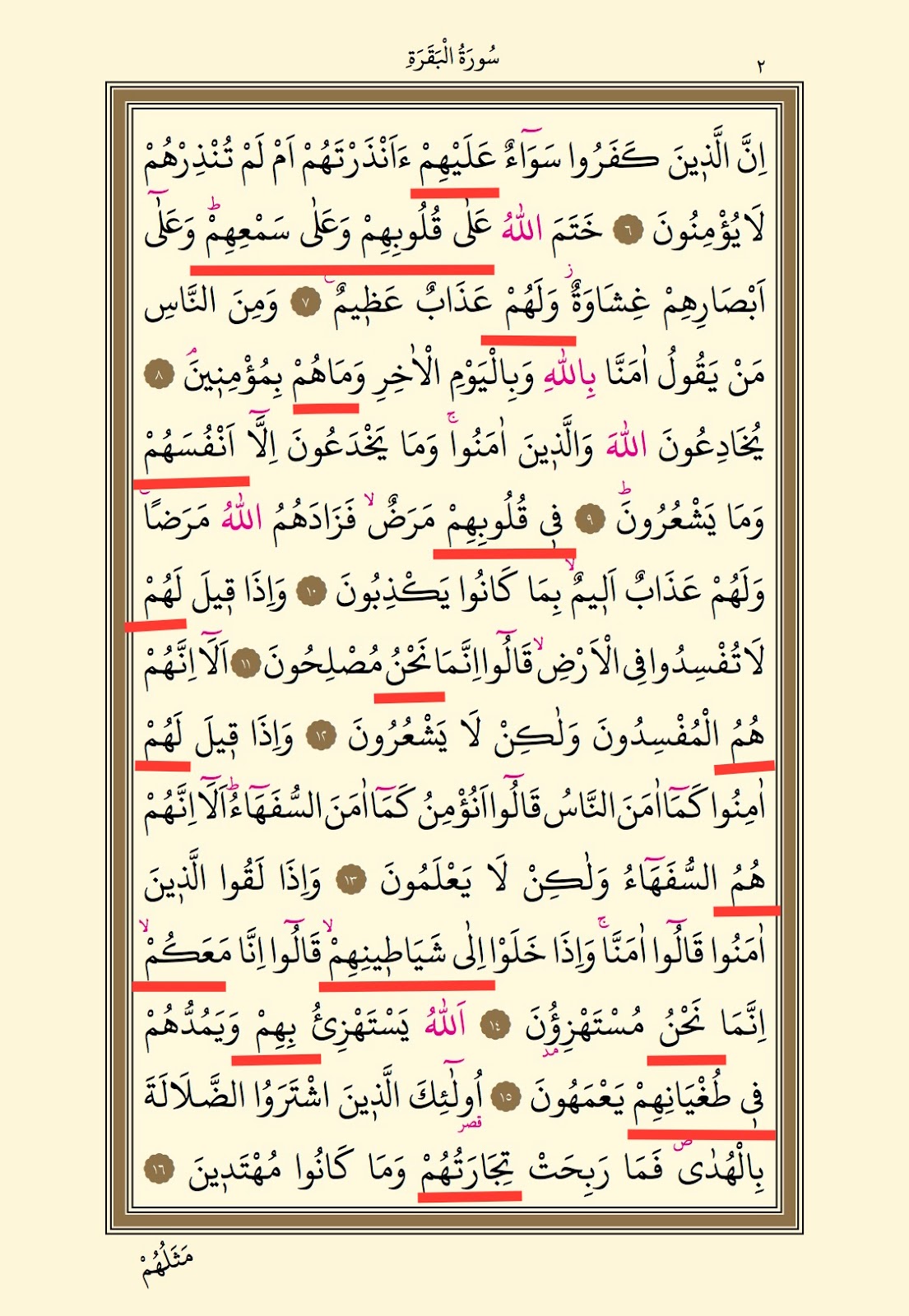 KURAN ARAPÇASI 4. DERS KURANDA ZAMİRLER