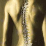 Chiropratica Lavorare sulla colonna vertebrale comunicare cervello
