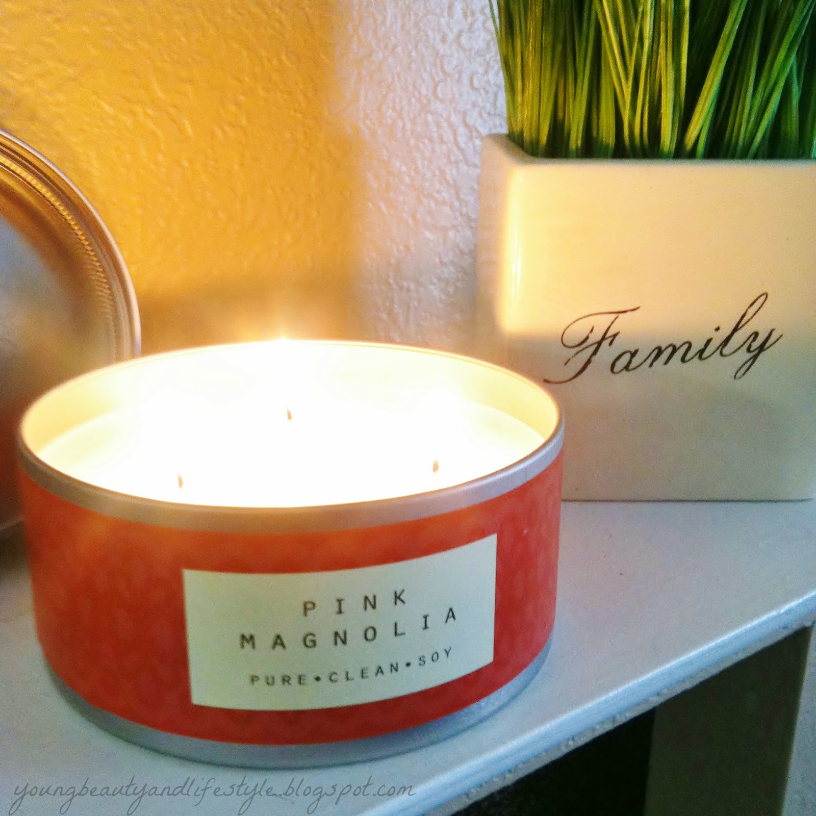 Young Beauty Lifestyle Target Candle Find!