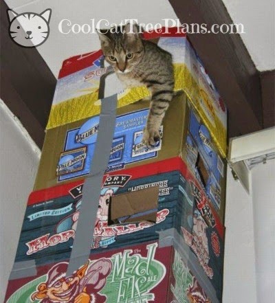 Free Cat Tree Plans Cool Cat Tree Plans