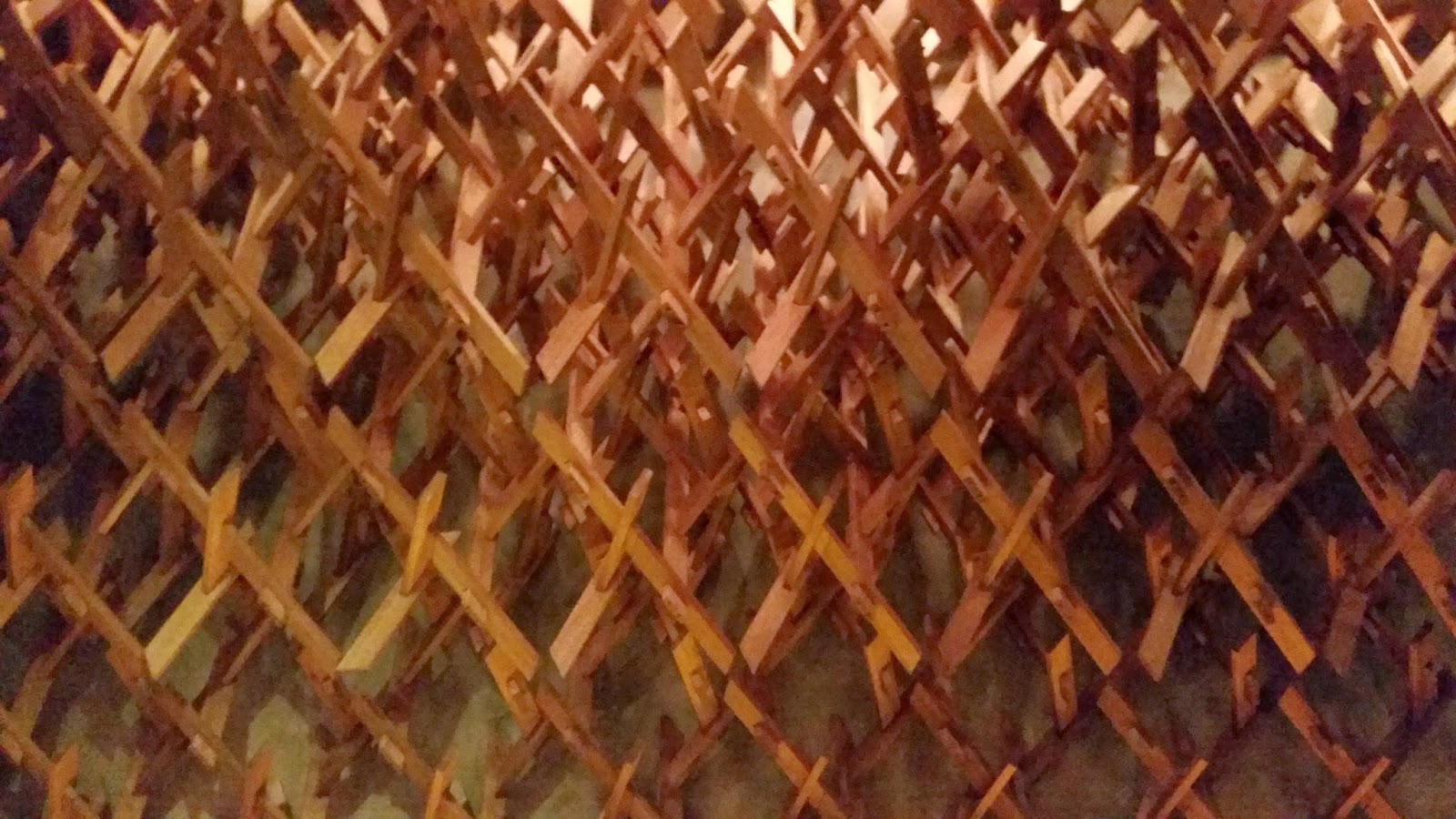 shauneeie Wild rocket Mount Emily