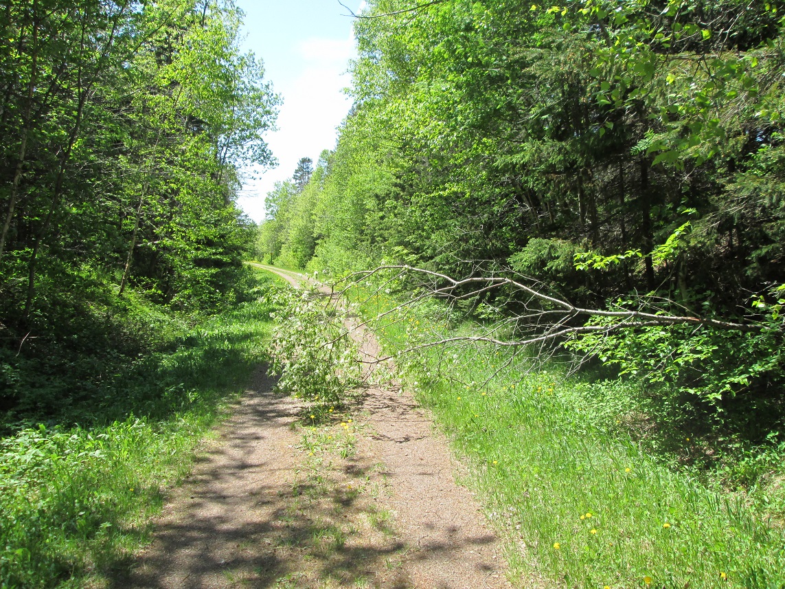Pedaling PEI Breadalbane