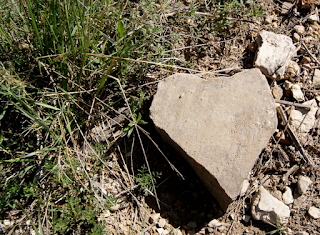 pedra-cor prop de Cal Birrot (Torà) per Teresa Grau Ros
