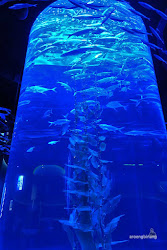 jakarta aquarium neo soho