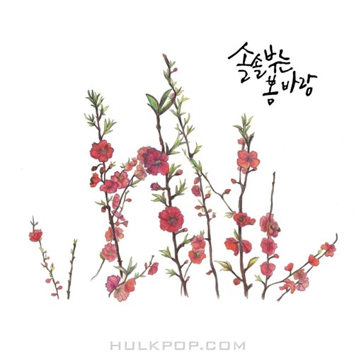 Solsolspringwind – 봄이 왔어요